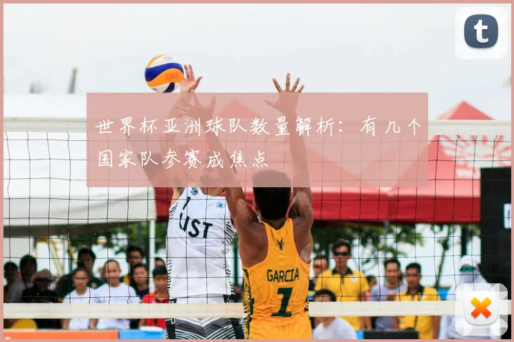 世界杯亚洲球队数量解析:有几个国家队参赛成焦点