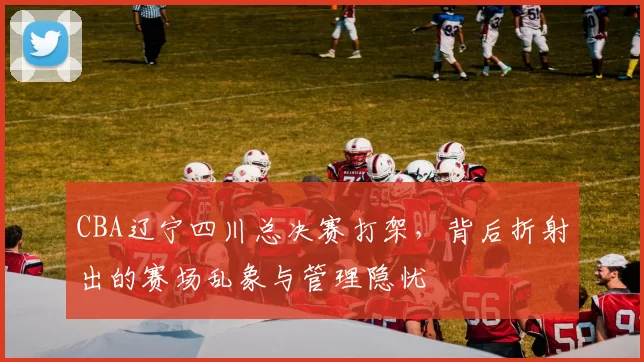 CBA辽宁四川总决赛打架，背后折射出的赛场乱象与管理隐忧