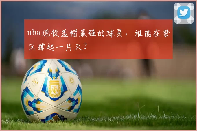 nba现役盖帽最强的球员，谁能在禁区撑起一片天？